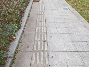 户外水泥步道及周边景观