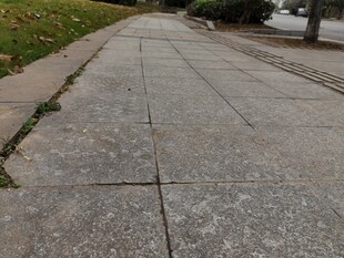 空旷水泥路面缝隙生草