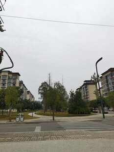 城市街道旁的住宅景观