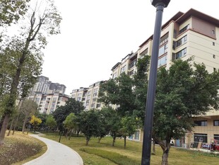 小区内的优美步道与建筑
