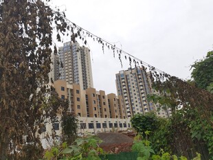 城市绿植间的高楼景观
