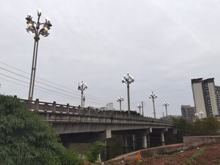 城市桥梁与周边景观