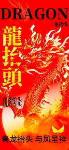 龙抬头海报设计模板