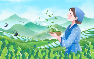 茶田女子撒种的美好瞬间