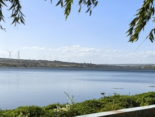 湖畔风光 绿意盎然的景致