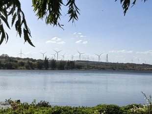 湖畔风车景 自然好风光