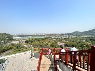 观景台上赏自然风光