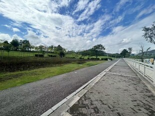 乡村公路风景