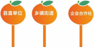 橘子 手举牌