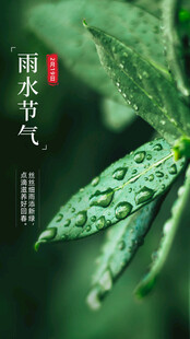 雨水