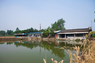 乡村水边景致