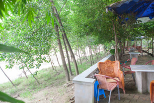 户外树林中的休闲场景