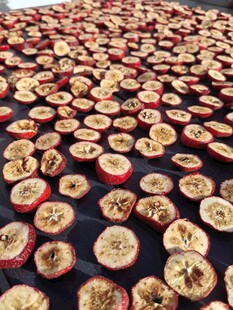 晾晒中的山楂切片