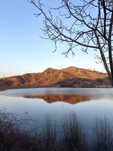 湖畔冬景 远山静水枯枝