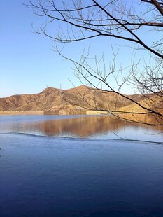 宁静湖畔的冬日风光