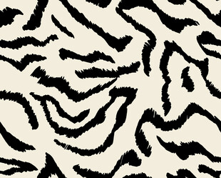 黑白斑马纹图案纹理