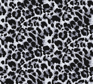 黑白豹纹图案纹理
