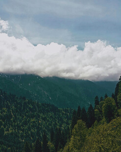 山峦云海间的翠绿景致
