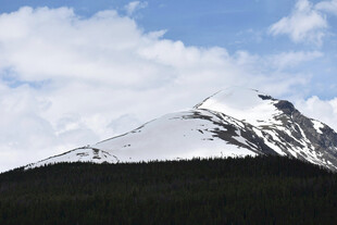 雪山蓝天森林壮美景观