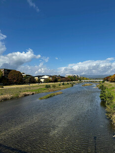 清澈河流与蓝天绿树美景