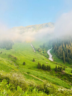 山间绿野云雾缭绕美景