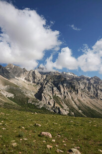 高山草原蓝天白云美景