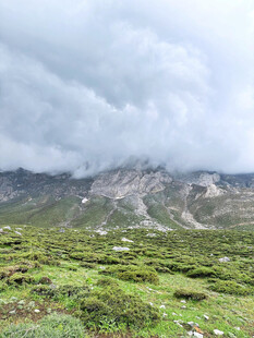 云雾缭绕的山间绿野