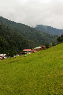 山间绿野中的村落风光