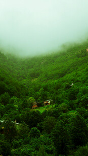 云雾缭绕的翠绿山峦