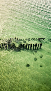 草原上的动物迁徙队伍