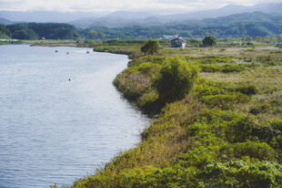 湖畔绿意盎然的自然景致