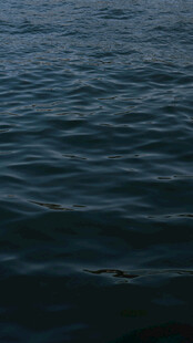 平静海面的波纹