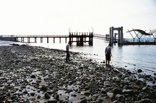 海边栈桥旁的漫步场景