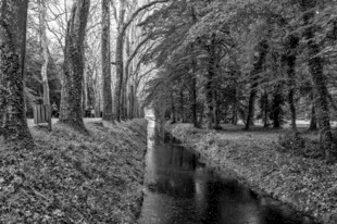 林间小径佳人独步