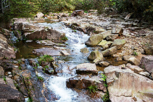 山间溪流潺潺过石间