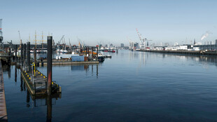 宁静海港码头风景