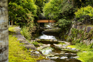 山间溪流旁的古朴木桥