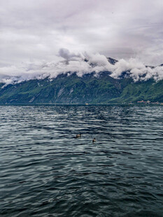 云雾缭绕的山水景致