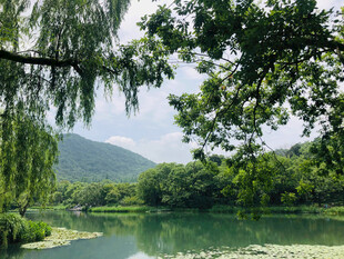 湖畔绿意盎然的自然景致