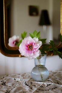 花瓶中绽放的娇艳花朵