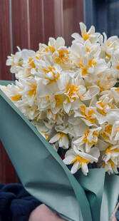 清新黄白水仙手捧花束