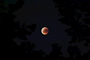 夜空中的红月奇观