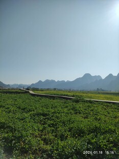 田园绿野间的远山风光