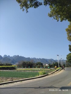 乡村公路旁的开阔美景