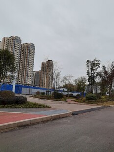 城市道路旁的高楼与设施