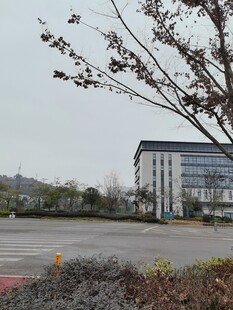 空旷场地旁的现代建筑
