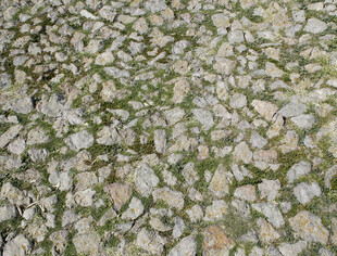 石板铺就的古朴地面