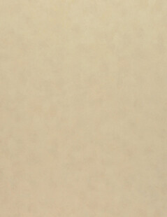 米黄色纹理背景图