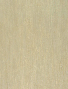 浅米色木纹纹理背景