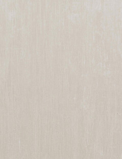 浅米色纹理墙面材质